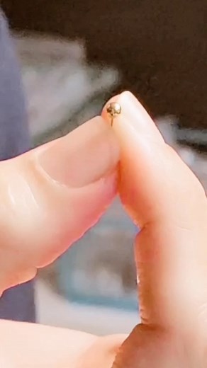 1.3K views · 51 reactions | In case you didn’t believe us about how easy these push in labrets really are to use, here it is in action! #Styleinspired #fashioninspo #piercinginspiration #bodymodification #threadlessjewelry #piercingjewelry | BodyJewelry.com | Facebook