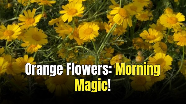 9 Garden Colors That Make Birds Flock To Your Yard