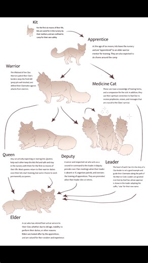 Ever wondered about the roles available to a Clan cat, and the various paths a cat can take in their life in the Clan? We've got a flowchart for that! Head on over to the Hub via link in bio to see the full chart showing the paths a cat can take from Kit through to Elder... 🐈🐈‍⬛ #WarriorCats