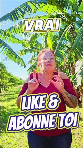 C'EST TROP BIZARRE... 🤯 Vrai ou Faux ?