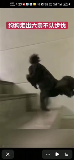 user7288188581597 (@user7288188581597)’s videos with 原声 - user7288188581597