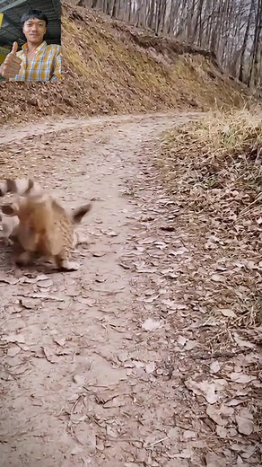 This cat bites very fiercely. 👍 #reels #video #cat | 100M