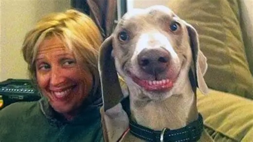 Animals copy humans in hilarious everyday moments