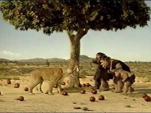 1995年12月頃のCM その4