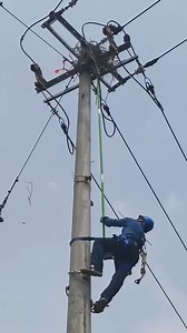 335K views · 809 reactions | Bird nest removal process on power transmission poles #howto #tiling #safetyfirst #concrete #carpentry #skilledtrades #diy #flooring #satisfying #engineering #architecture #constructionworker #tools #construction | Andrea Esposito | Facebook