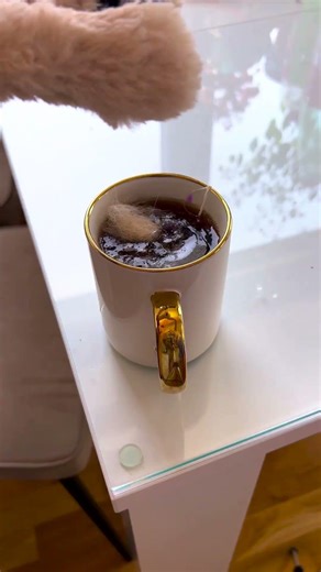 My cat is in the bowl 😬🐾 #pets #cats #fun