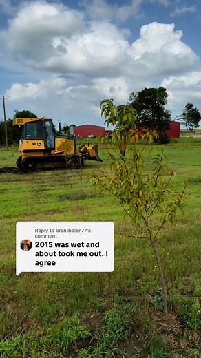 10K views · 60 reactions | Trees are drowning #flood #mud #peach #tree #fruit #dozer | FFF Enterprises | Facebook
