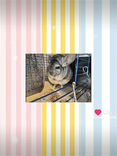 21 марта 2026 г.