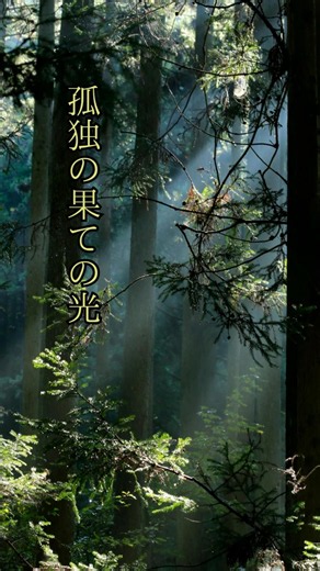 【心の処方箋】私に刺さった名言(歌詞)the brilliant green/There will be love there #thebrilliantgreen #愛のある場所 #shorts