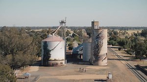 183 reactions · 26 shares | Rail Trails make cycling easy for everyone in your group and Victoria's High Country has some of the best trails in Australia... | Ride High Country | Facebook