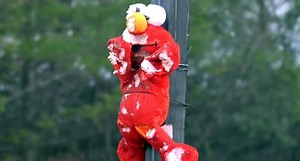 Jet Engine Blasts Tickle-Me-Elmo to Smithereens (and Beyond)