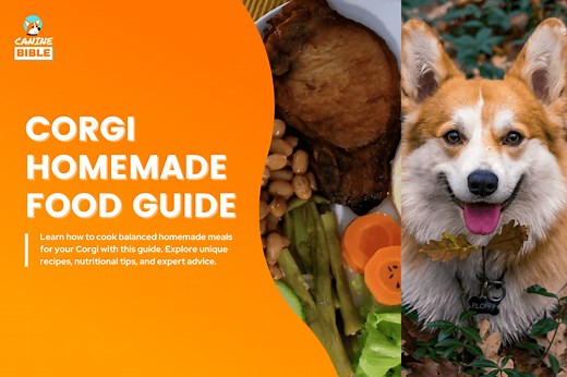 Best Homemade Food For Corgis: Recipes & Guide - Canine Bible