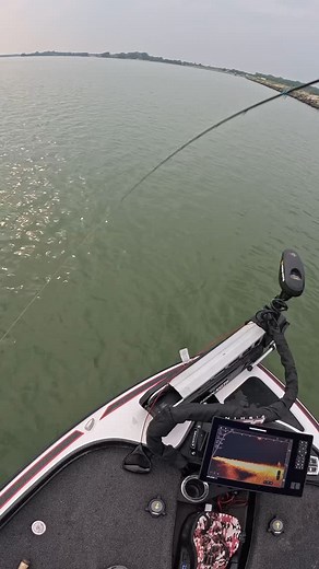 Doubled up using @humminbirdfishing mega live 2! #fish #fishing #bass #humminbird #trends #trendreels #catchcrewtv #justkeepcasting #trendy #hookedup #reels #viral | Catch Crew TV | Facebook