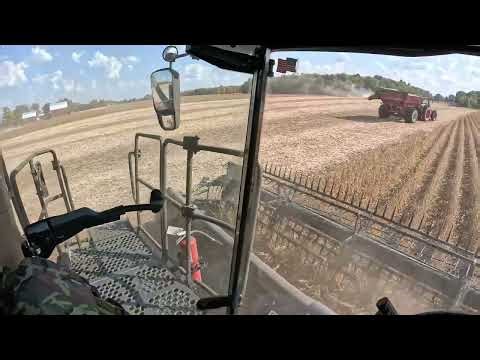 POV Soybean Harvest Day 9