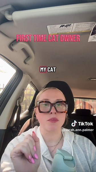 Essential Tips for First-Time Cat Owners