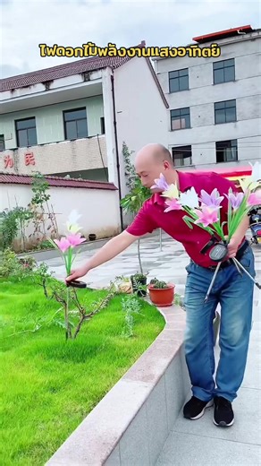 🌟พิกัดตะกร้า@Happy Solar Cell #ไฟปักสนามโซล่าเซลล์ #ไฟดอกไม้โซล่าเซลล์ #ไฟทางเดินโซล่าเซลล์