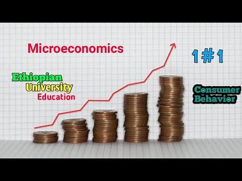 Microeconomics | #1 | Consumer Behavior | University