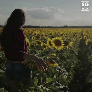 122K views · 10K reactions | •Maya ta Maya ho || Samir Shrestha ❤ | Nepal times | Facebook