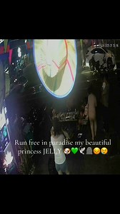 24K views · 647 reactions | Admin សុំពេលផ្អាក voice over មួយរយះបងៗតែ...