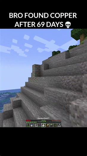 Minecraft Bro Found Copper💀