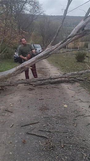 Donna Mitchell on Reels