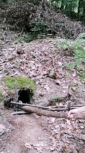 8 creative traps & tricks | Shorts World