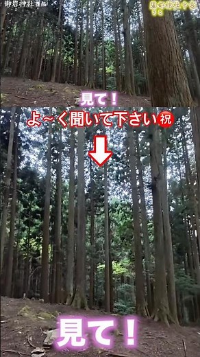 聞こえましたか？㊗️#神さま見える#龍神#御岩神社#龍神さま#かおりの虹#神社