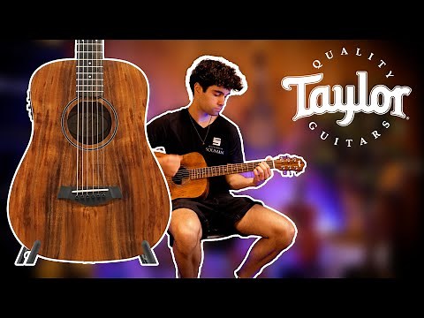 Taylor BTe Koa DEMO | Muziekhuis Souman