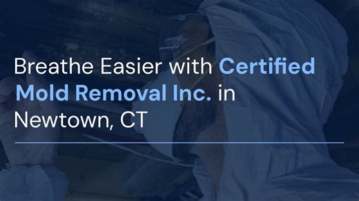 Breathe Easier with Certified Mold Removal Inc. in Newtown, CT