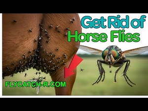 Your Best Defense Against Horse Flies, Greenhead Flies, Black Flies, Deer Flies• Yellow Flies