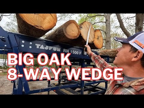 MAXED OUT Firewood Processor - Tajfun RCA 500 Tackles Big Oak Logs