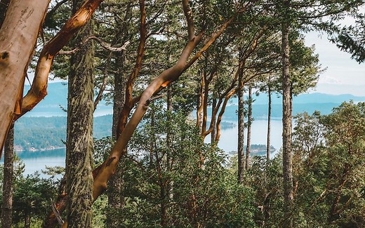 34 Fun Things to Do in Salt Spring Island (Local's Guide)
