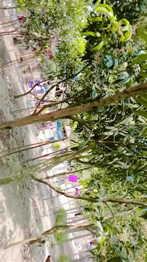 bagan bari💝💝💝💝