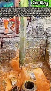 伝統的な手動ポンプによる原油採掘の現場 #worker #process #oil #crude #mining