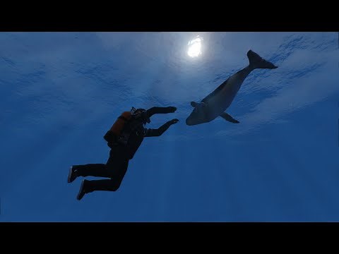 [ESX] Diving Job FREE | Fivem Script