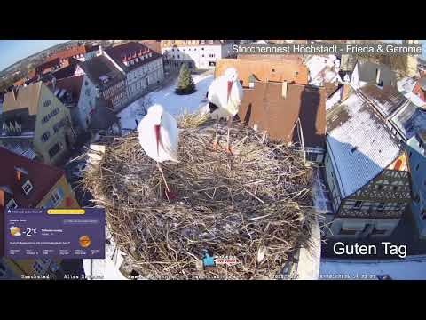 2026 01 07 Storchennest Höchstadt, Frieda & Gerome wünschen allen Storchenfreunden einen schönen Tag