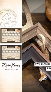 The Growth & Maturity of the White-tailed Buck is a hunt camp classic; celebrating America’s favorite big game animal — the white-tailed deer. | Ryan Kirby Art