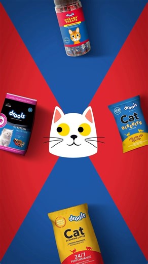 1.6K views · 11 reactions | Tasty choices, whisker approved!  From treats to meals, get your little kitty to explore the world of Drools delights - a feast for the eyes and taste buds! ♥️ Feed Real Feed Clean #JustDroollt #FeedRealFeedClean #NoByProducts #DroolsPetFood #DroolsLove #PetFood #DroolsForPets #DroolsHealthyChoice #catlove #PetLovers #PetParents #CatFood #Drools | Drools | Facebook