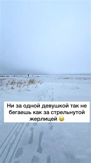 Ставь лайк 😂🔥 #рыбалка #рыбак #щука #судак #окунь #карп #карась #фидер #спиннинг #плотва #поплавок