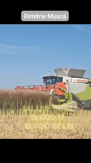 667K views · 6.1K reactions | Dimitrie Muscă: Dupa muncă și răsplată! #dimitriemusca #agricultura #salarii #grau #pretulpainii | TV Arad | Facebook