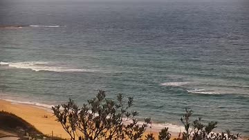 Curl Curl Surf Report, Surf Forecast and Surf Cams - Surfline