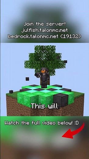 NEW Minecraft Skyblock Server META!