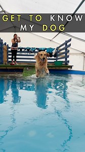 180K views · 12K reactions | Getting to know Kobe | The Golden Kobe Family | Facebook