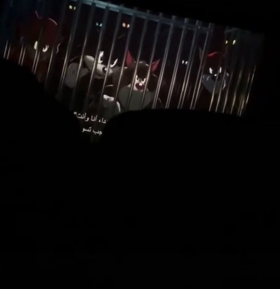 Pump And Skid (@pumpandskid_official)’s videos with original sound - Pump And Skid