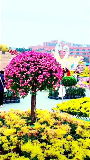 Secret Garden Path Full of Colors | Nature’s Hidden Beauty #shorts