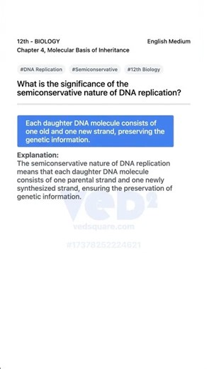 DNA Replication Semiconservative Nature Explained 12th Biology