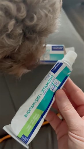 Snap Grearz💡 on Instagram: "Virbac C.E.T. Enzymatic Dog Toothpaste – Poultry Flavor, 2.5 oz Tube – Removes Plaque & Tartar, Freshens Breath, Veterinary Recommended Pet Dental Care #Virbac #DogToothpaste #PetDentalCare #CETToothpaste #FreshBreathForDogs #PlaqueControl #TartarRemoval #PoultryFlavor #HealthySmile #VetRecommended"