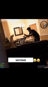 2.5K views · 205 reactions | You won't feel lonely with Meow 藍 | Meow Meow | Facebook