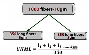 Length parameters of cotton fibers