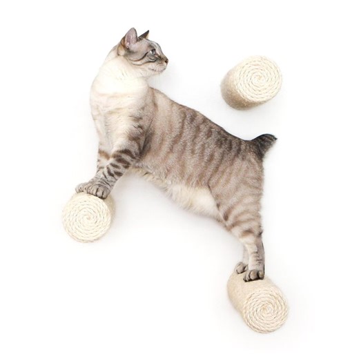 Floating Sisal Cat Scratching Post Step - Wall Mounted Cat Climbing Pole, Cat Wall Furniture, Modern Cat Tree Alternative - Etsy
